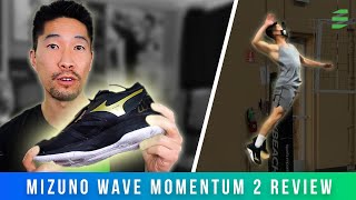 Mizuno Wave Momentum 2 Volleyball Shoe Review [upl. by Enneite165]