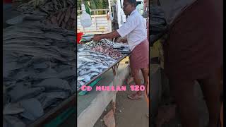 Mean kachavadamreels fish kachavadam uppaummakkalum 935  reels  videos [upl. by Ettennil]