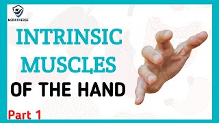 Muscles of the hand  Origin  Insertion and Action  Intrinsic muscles  Part 1 [upl. by Latashia]