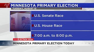 4PM Update Minnesota Primary Election Today [upl. by Eiramanin]