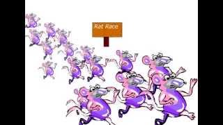 Rat Race Even if you win you are still a rat [upl. by Yovonnda]