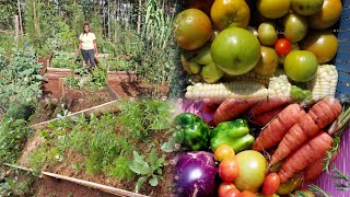 Easy Cheap Raised Beds for BeginnersHarvest Tons of Food For Your SelfSufficiency Life [upl. by Atilrac115]