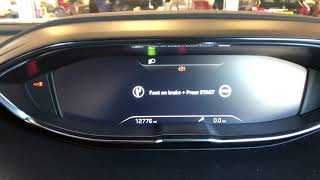 2019 Peugeot 3008 service light reset [upl. by Davenport744]