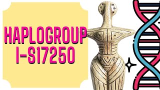 YDNA Haplogroup  IS17250  Slavic DNA  Cucuteni–Trypillia culture [upl. by Tsenre]