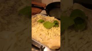 THE BEST HOME MADE LASAGNE EVER 🤤 automobile music hiphop rap explore food cat choppin [upl. by Nievelt205]