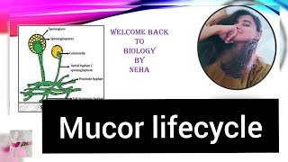 Mucor Lifecycle  Mucormycosis causing fungus  BSc MSc UPSC BOTANY Biology By Neha🌻 [upl. by Kayle]