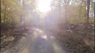 October trail running in Frick Park up South Clayton Nature Falls Ravine to Environmental Center [upl. by Raviv313]