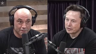 Elon ampJoe Rogan  Risk of AI elonmusk joerogan donaldtrump [upl. by Leummas]