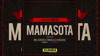 mamasota  Ricardo Criollo House Remix [upl. by Mcclish173]