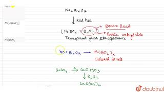 In borax bead test the borax used is Na2B4O710H2O However the species [upl. by Maxie216]