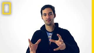 Jason Silva on Color  Brain Games [upl. by Korey865]