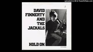 David Finnerty amp The Jackals  Hold On 1980 [upl. by Faus]