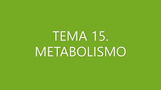 BIOLOGÍA SELECTIVIDAD METABOLISMO [upl. by Tolman38]