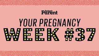 Your pregnancy 37 weeks [upl. by Kwasi]