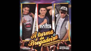 A Turma da Bregadeira  CD Promocional Verão 2017 CD Completo [upl. by Godfry]