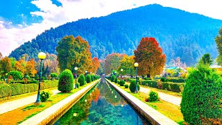 Kashmir Series I Part 27 I Verinag Spring Mughal Garden 3 I 2023 I Autumn in Kashmir [upl. by Enialehs]