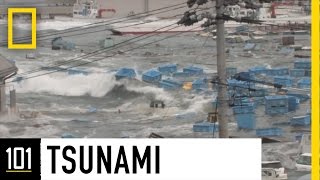 Tsunamis 101  National Geographic [upl. by Lain298]