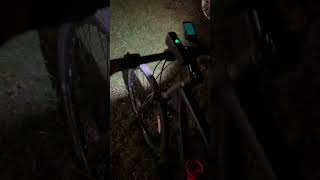 Trek Dual Sport 3 Trek Commuter Comp R Flare R City at night trekbikes trek [upl. by Ymor]