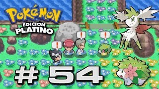 Guía Pokémon Platino  54  Ruta 224 quot Evento de Shaymin y Conseguir Gracídea quot [upl. by Frohman]