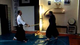 Ogawa Ryu  Gohon me Awase Kenjutsu Training  By José A Tola [upl. by Essa]