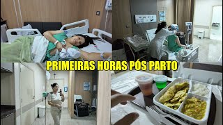 PRIMEIRAS HORAS PÓS PARTO Juliane Jocoski [upl. by Anaul]