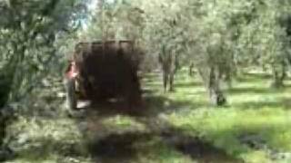 Manure Spreader [upl. by Aloibaf]