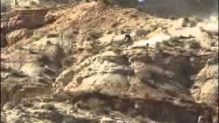 Lance Canfield  2001 Redbull Rampage [upl. by Amir]