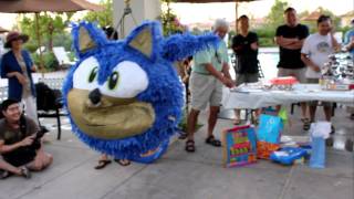 Sonic the Hedgehog Pinata [upl. by Zacharias571]