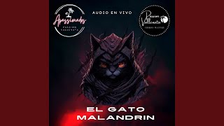 EL GATO MALANDRIN PASSION VALLENATA EN VIVO En vivo [upl. by Ede]