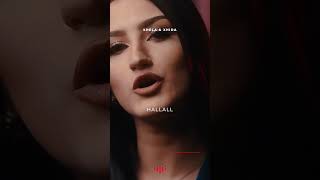 HALLALL ft XHIDA GASHI [upl. by Clywd]