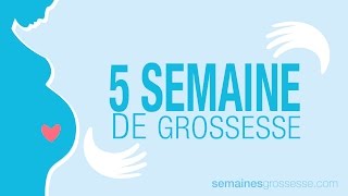 5 semaines de grossesse  Semaine 5 de grossesse  La grossesse semaine par semaine [upl. by Ocinemod]