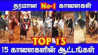 TOP 15 தரமான No 1 காளைகளின் ஆட்டங்கள் Tamizhan Trending [upl. by Jennee]