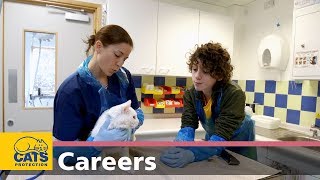 Meet a Neutering Officer and Vet Nurse – Careers with cats episode three [upl. by Cirdnek]