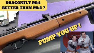 Seneca Dragonfly 177 cal Mk1  Shooting Test amp Review [upl. by Volin]