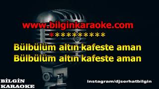 Erkan Oğur  Bülbülüm Altın Kafeste Karaoke Orjinal Stüdyo [upl. by Eden]