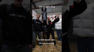 Het leven van een Paarden Meisje 🐎 Zit jij op een sport 🤔 ​⁠​⁠PaardenpraatTV [upl. by Fuld]