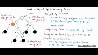 Find height of a binary tree [upl. by Yellah]