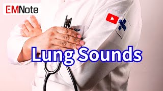 Lung Sounds Breath Sounds [upl. by Pearlman898]