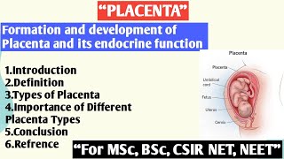 Placenta  Types of Placenta  Formation and development of Placenta and its endocrine function [upl. by Akemed]