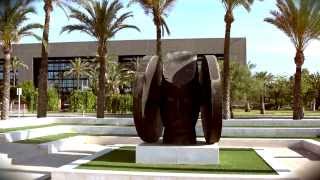 Vídeo Institucional de la Universidad Miguel Hernández de Elche [upl. by Haodnanehs239]