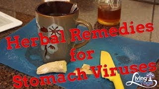 Herbal Redemies for Stomach Virus [upl. by Enoved]