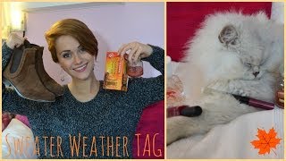 SWEATER WEATHER TAG  My Fall Favourites ENGLISH [upl. by Emse]