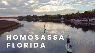 Homosassa Springs Drone Footage [upl. by Campy235]