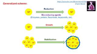 Synthesis of Nanoparticles biological methods [upl. by Murdoch]