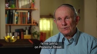 Holocaust Survivor Testimony Chayim Herzl [upl. by Ule]