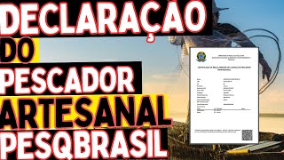 DECLARAÇÃO DO PESCADOR PDF [upl. by Pesek]