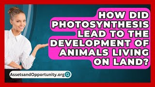 How Did Photosynthesis Lead To The Development Of Animals Living On Land  AssetsandOpportunityorg [upl. by Ternan295]