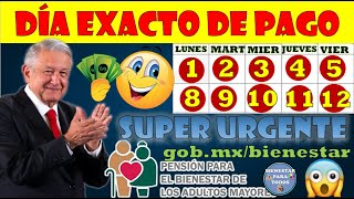 🤑🤑DÍA EXACTO DE PAGO ESTE DÍA TE TOCA COBRAR PENSIÓN BIENESTAR DE LOS ADULTOS MAYORES 2024🤑🤑 [upl. by Koziarz415]