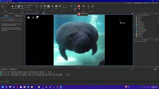 manatee jumpscare [upl. by Ivers]