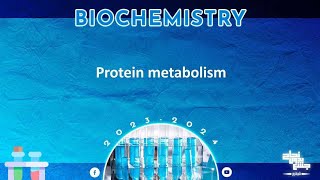 L 21 Protein metabolism 1 Amino acid pool and Oxidative deamination of amino acids Biochemistry [upl. by Delphina]